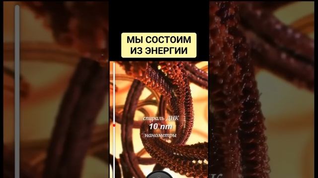 ☀ КАК ИЗМЕНИТЬ КАЧЕСТВО ЖИЗНИ, ПЕРЕСТРОИВ ВСЕГО ЛИШЬ ОДНУ СОСТАВЛЯЮЩУЮ - ПИЩУ