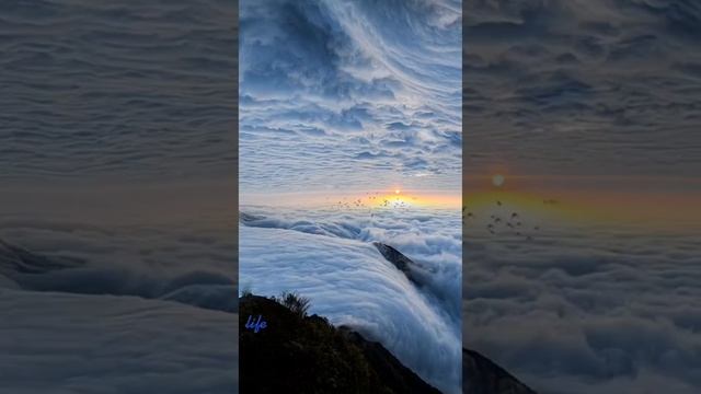 Шикарное видео