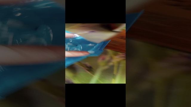 1000003065.mp4