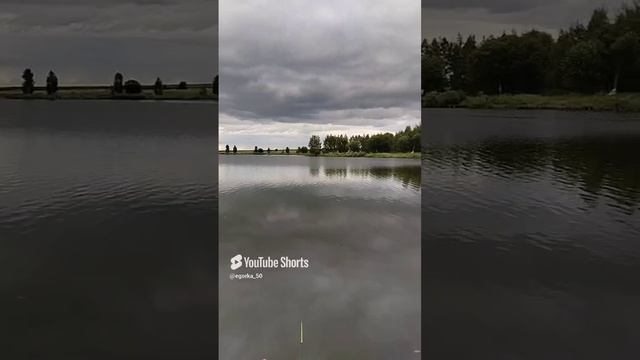 Платный водоем рыбалка