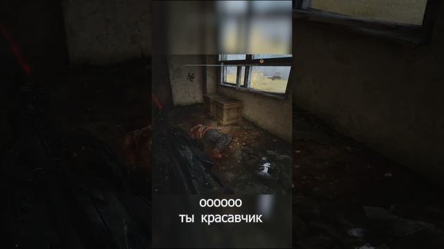 Друг контрик
S.T.A.L.K.E.R. 2 Сердце Чернобыля
#видеоигры #stalker2