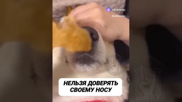 VID-20250106-WA0013