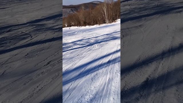 Алексеевка