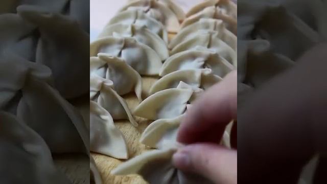 Chinese Beef Dumplings