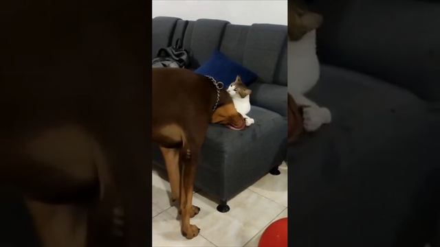 1000070671.mp4