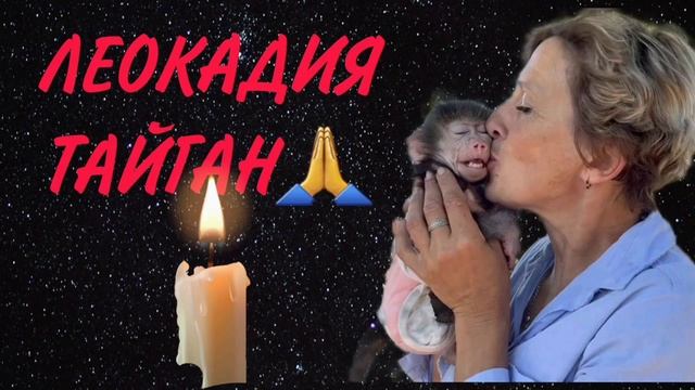 ЛЕОКАДИЯ🙏 ТАЙГАН. ТРАГЕДИЯ.