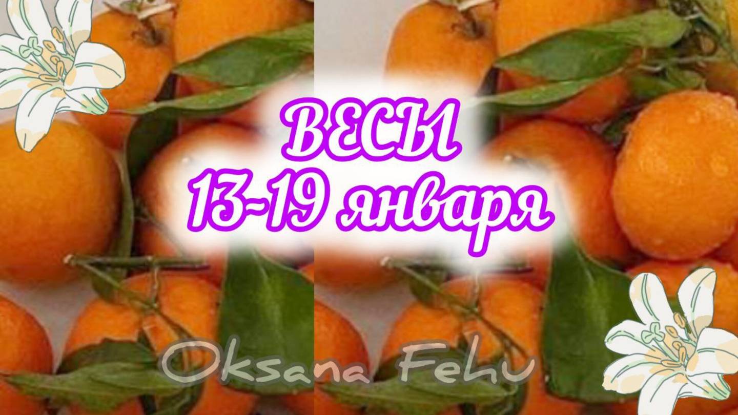 ВЕСЫ  13-19 января