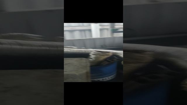 Деньги из мусора