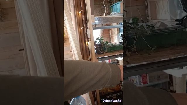 рождество