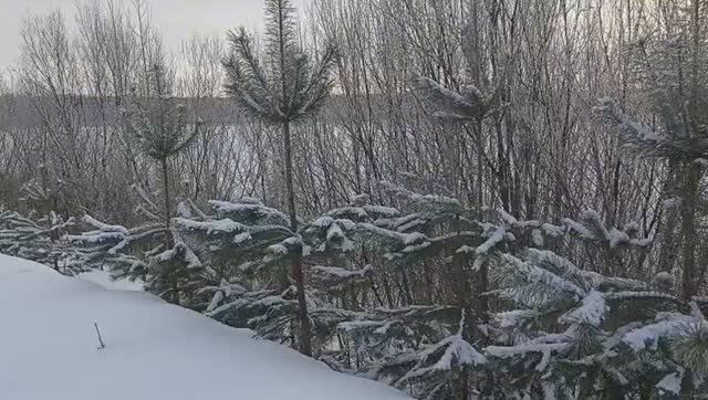 Зимние зарисовки января.