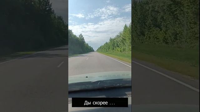 шашлык на выходных #shorts #шашлык #природа #отдых #выходные