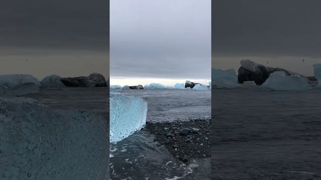 4609473-hd_1080_1920_30fps