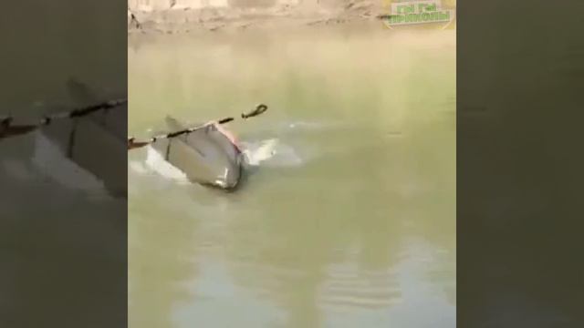 Смешные моменты с рыбалки.