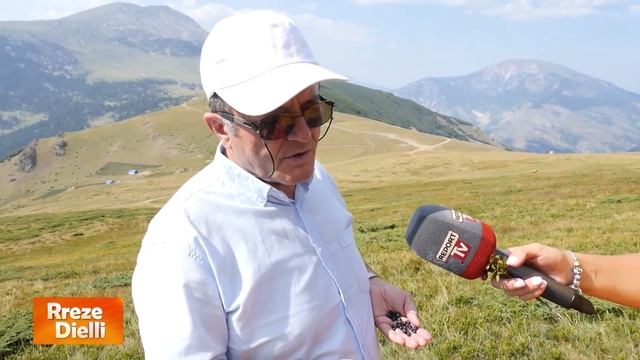 Rreze Dielli - Një udhëtim në malet e Kukësit, në zbulim të boronicës së egër
