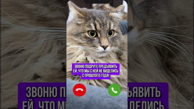 Не виделись с прошлого года