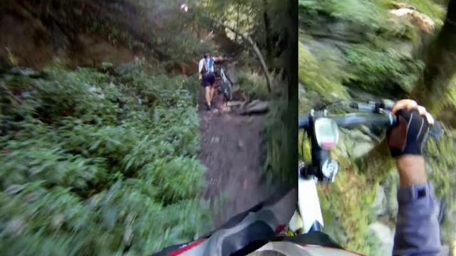 foreste casentinesi con la mtb
