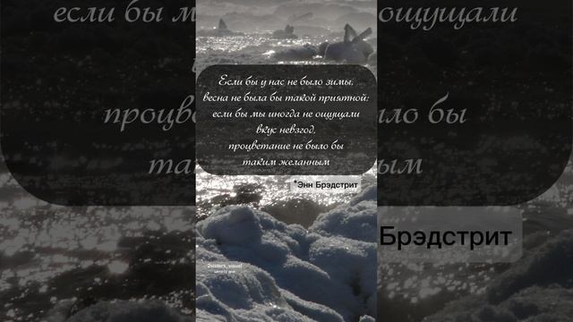 Цитата дня