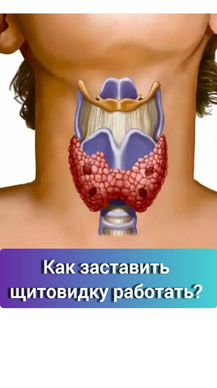 Гипотериоз, как заставить щитовидку работать. По вопросам пишите на вотсап/тг 79109053539