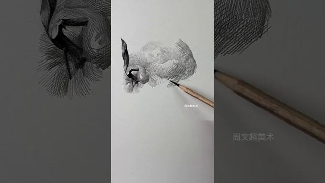божественная рука художника.