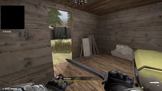 Шустрые енотики затроллили Дракса в CS:GO маньяк