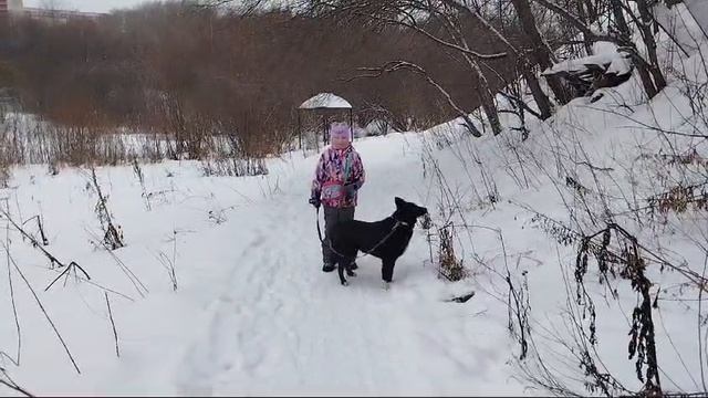 ласка