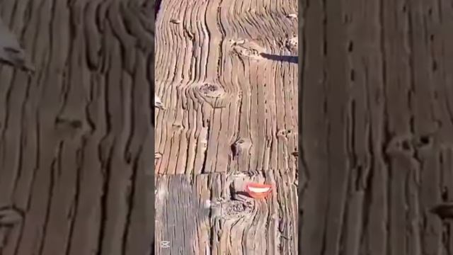 У некоторых людей просто слишком много свободного времени 🫵🤣