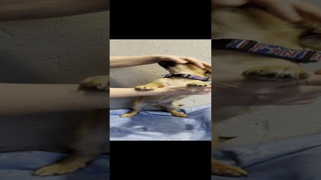 IMG_5706