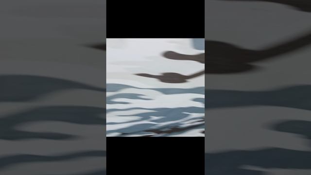 1000000411.mp4