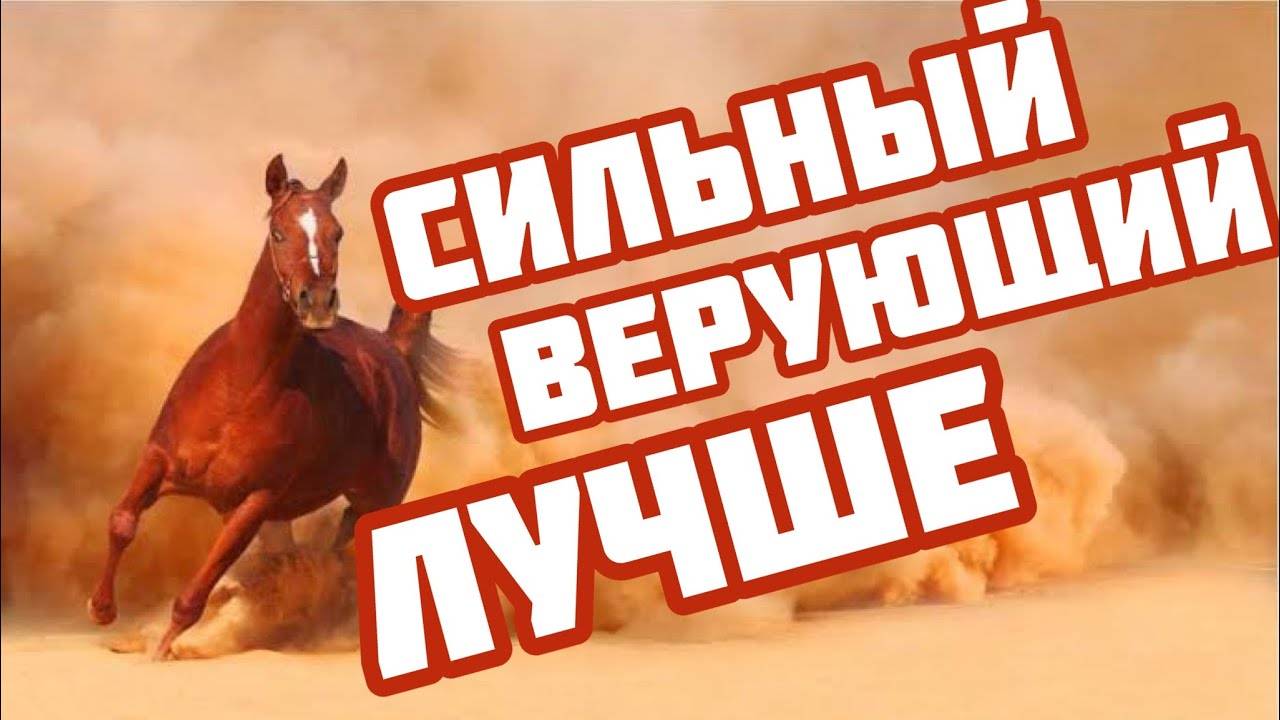 Сильный верующий лучше