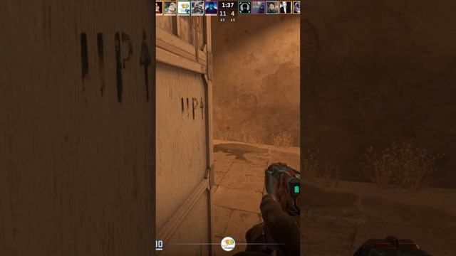 Zeus25010709