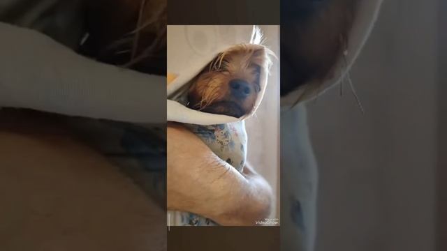 Наша Алёнушка🥰