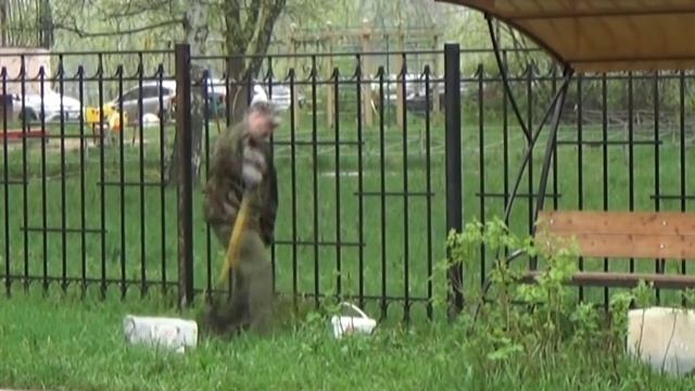 Посадка - ёлочка и 2 туи (Тверской музыкальный колледж)