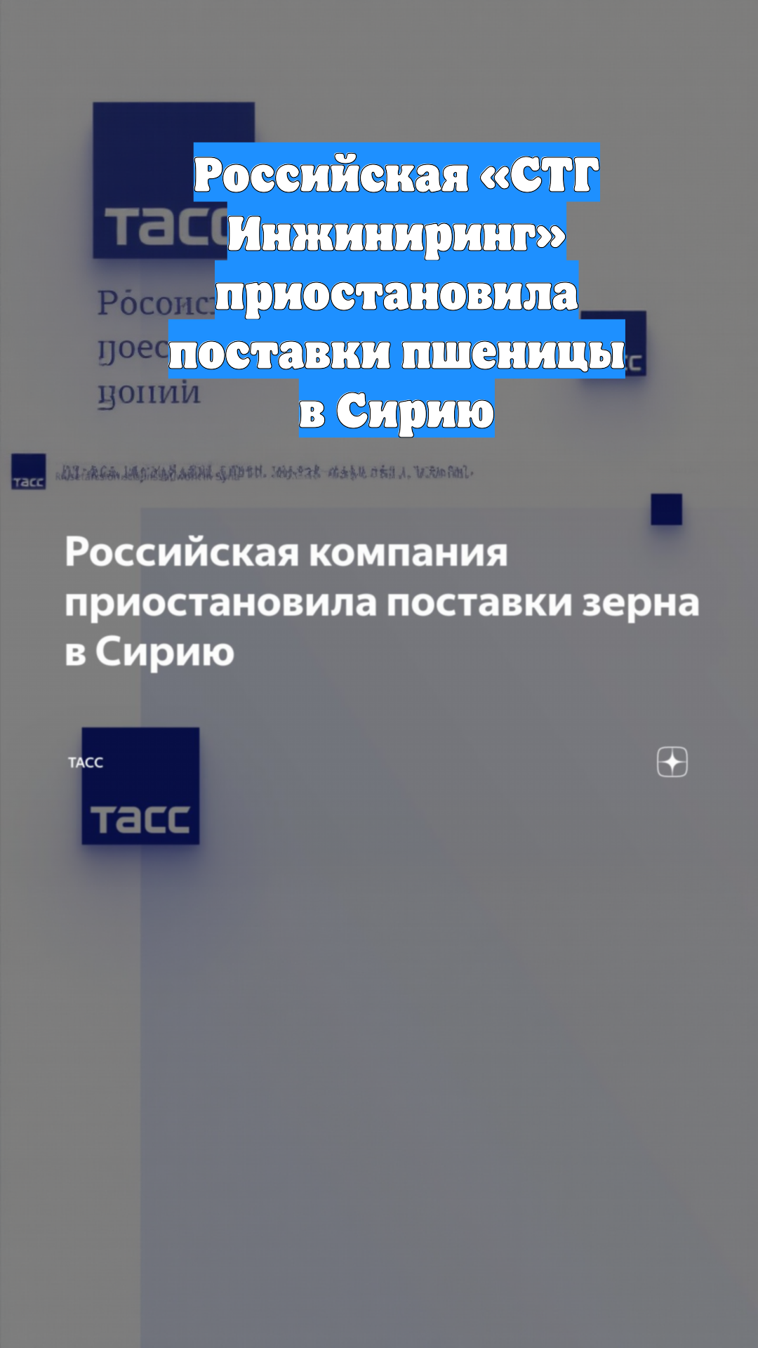 Российская «СТГ Инжиниринг» приостановила поставки пшеницы в Сирию