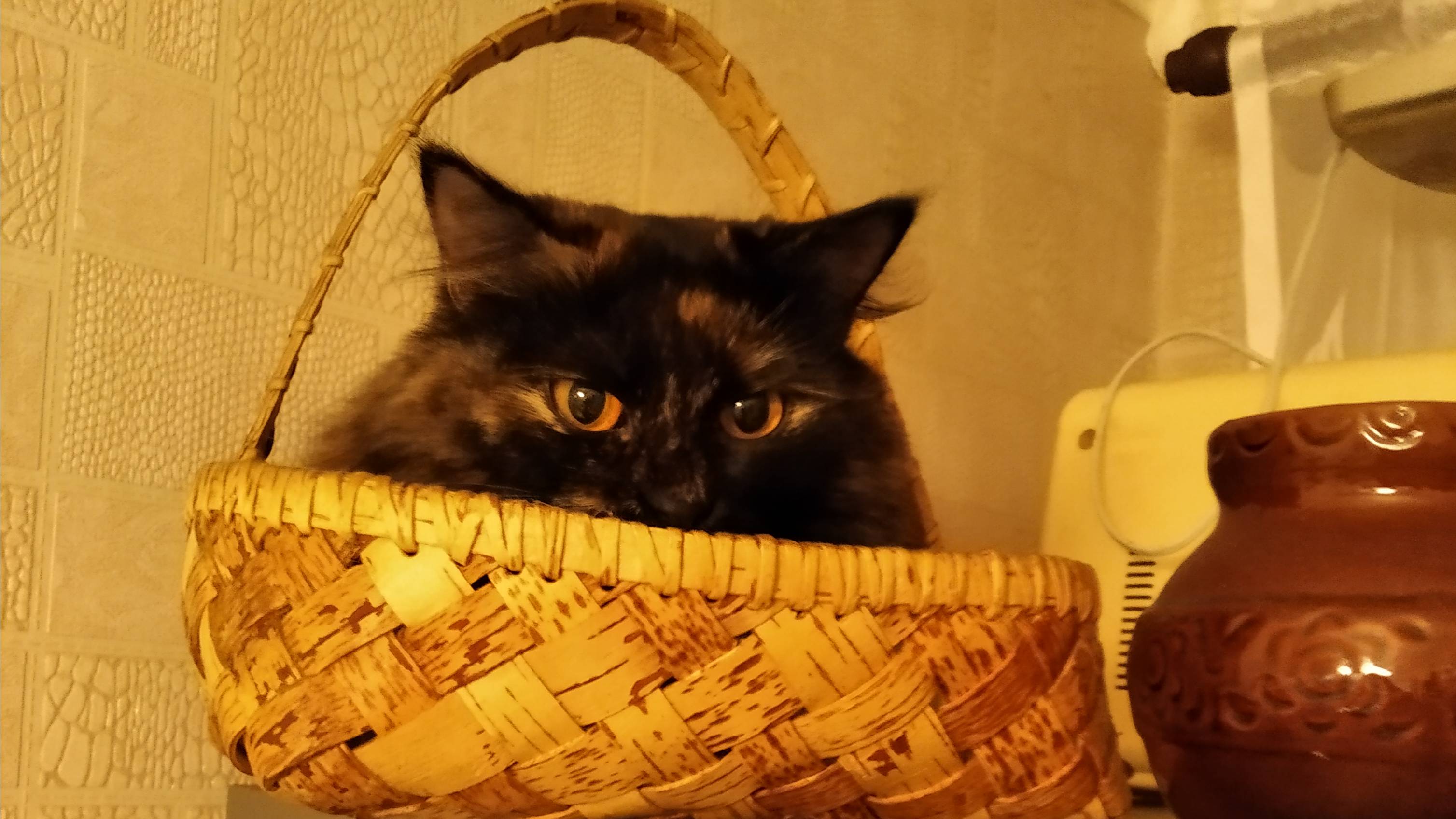 Плетение корзинки.