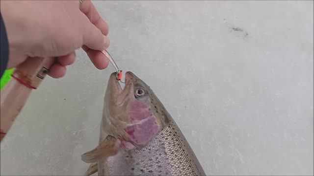 Ловля на актив в полях. Рыбалка на Верхнем водоёме. Клёвое  место лосиный остров.