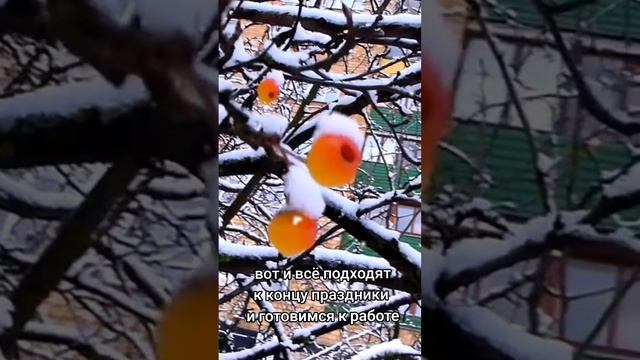 ну вот праздники и заканчиваются