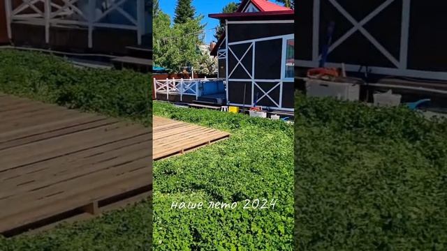 лето на даче