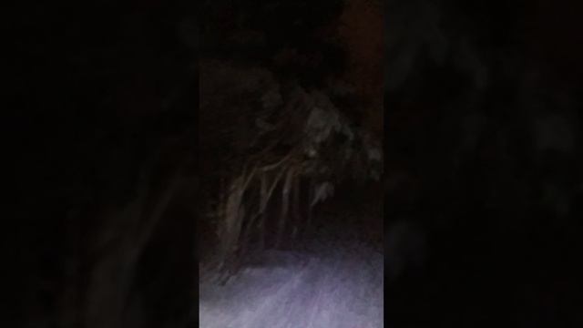 вечерняя тренировка