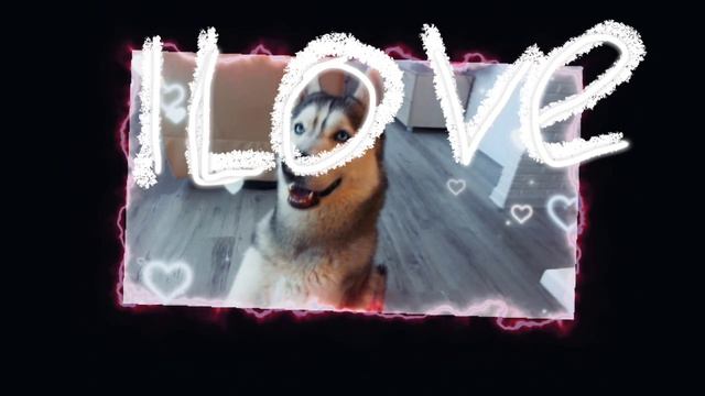 1000016289.mp4