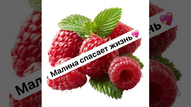 Малина спасает жизнь!