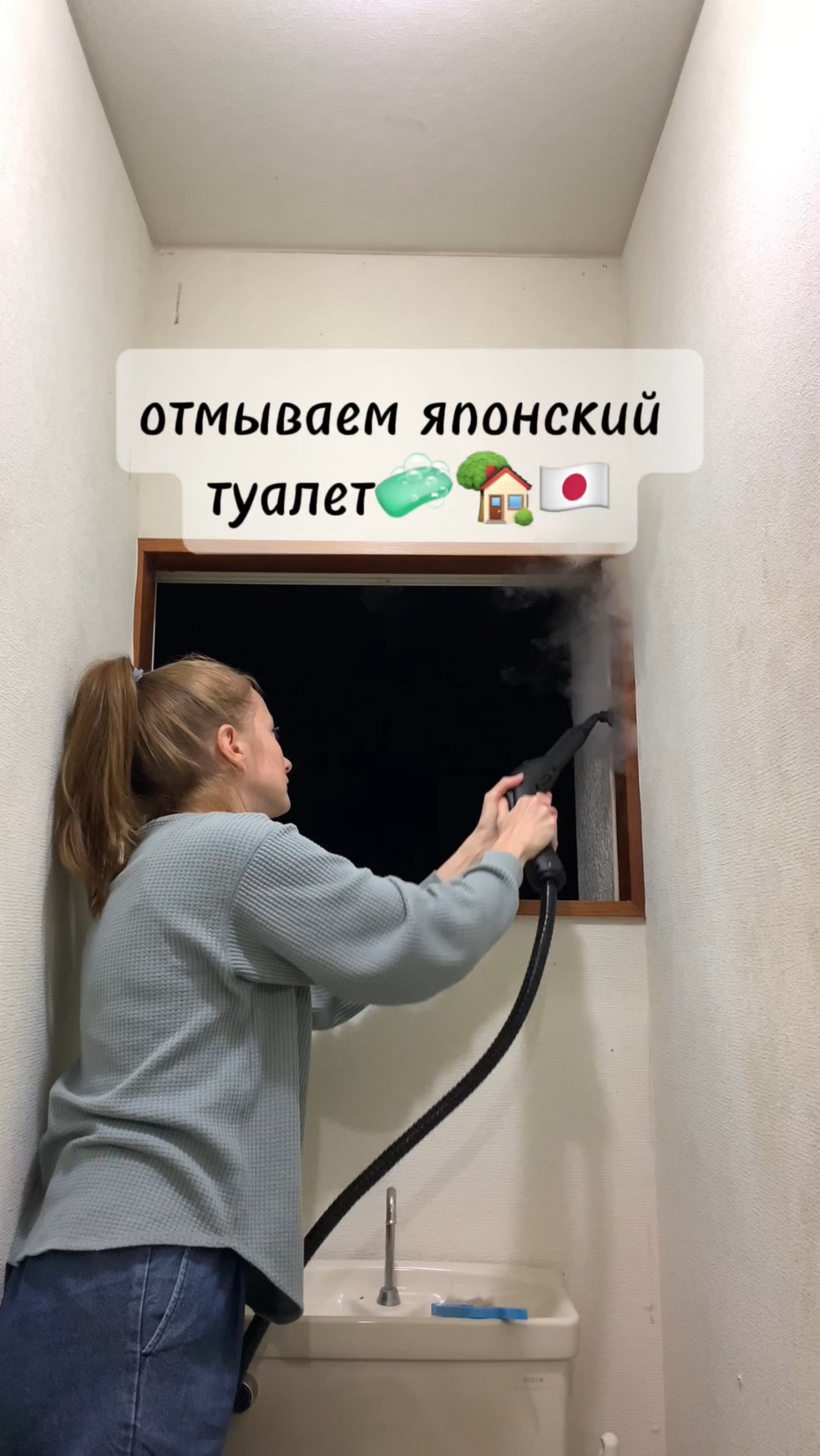 Пытаемся отмыть японский туалет