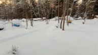 7 января. #Зимовка пчёл на воле