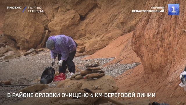 В районе Орловки очищено 6 км береговой линии