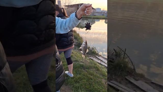Я поймала свою золотую рыбку