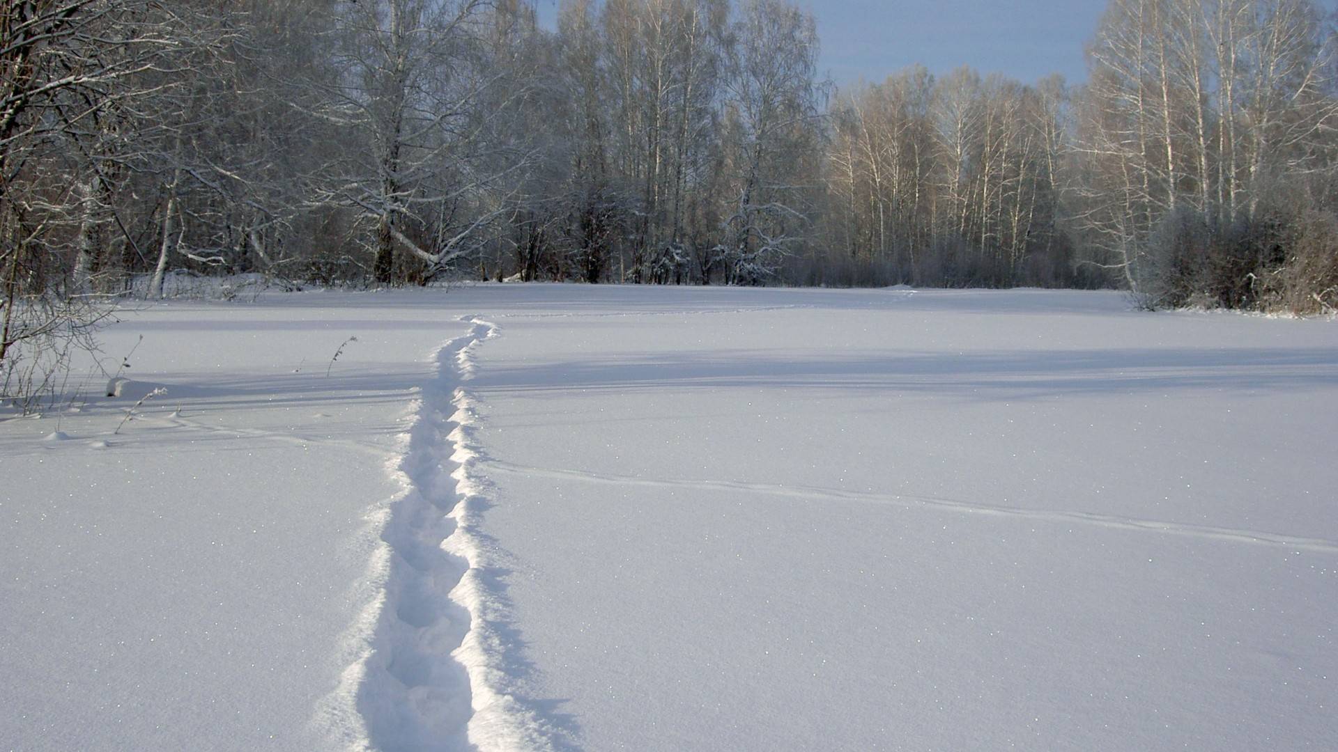 Дорожки Стёжки.