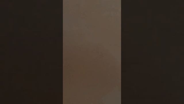 Сделали новую электропроводку в частном доме, 65 кв/м электропроводка открытая, наружная, в гофре.