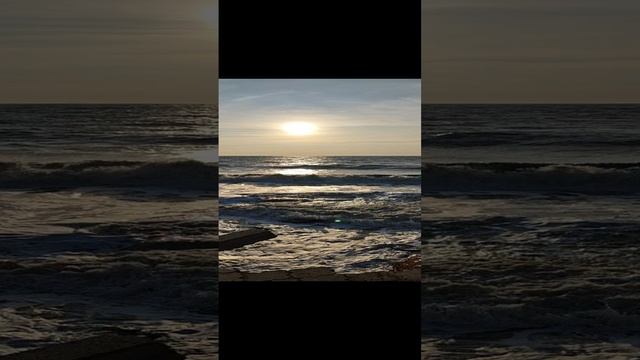 Море. Крым. 7чнваря 2025г
1000052005.mp4