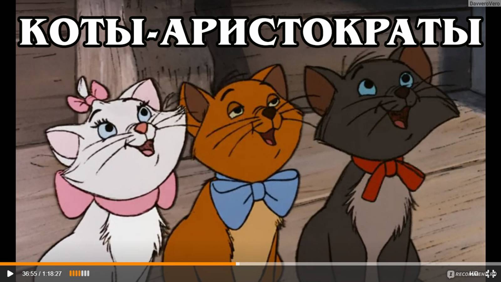 Коты-аристократы