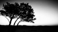 "It Takes Two" - Consider This... By Lindell Cooley