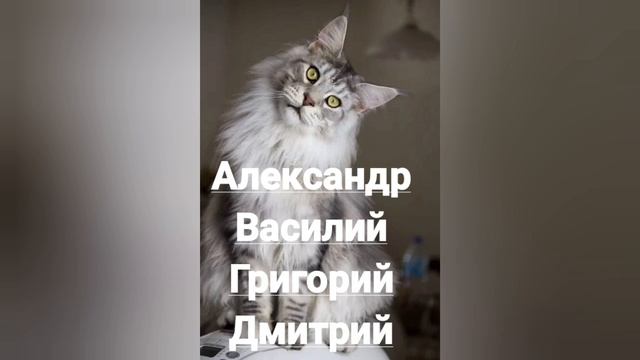Именины 8 января